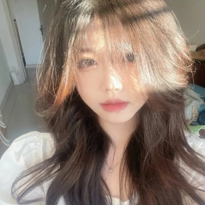 模型姐妹